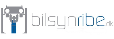 Bilsyn Ribe